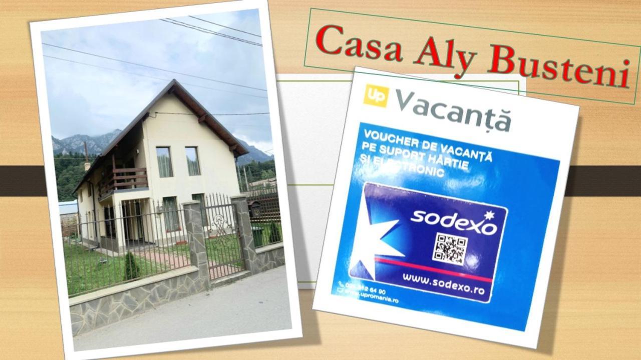 Casa Aly Busteni别墅 外观 照片